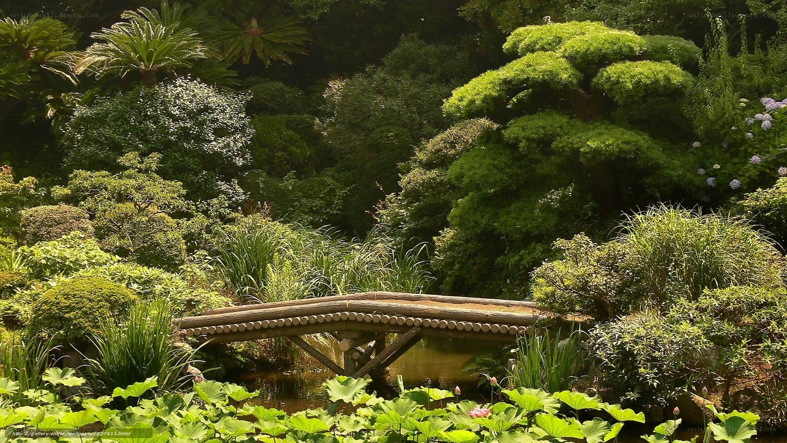 Garden with wooden bridge