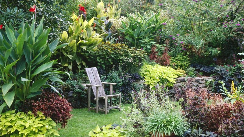 Garden with wooden chair
