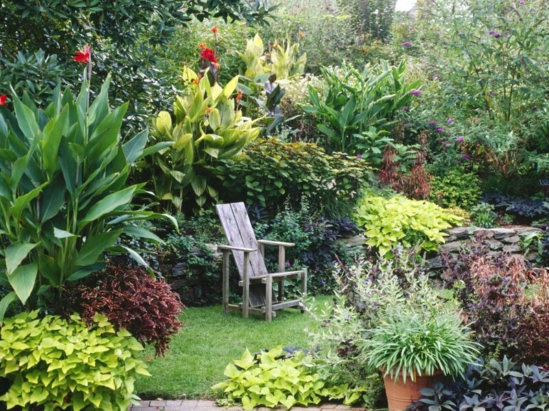Garden with wooden chair