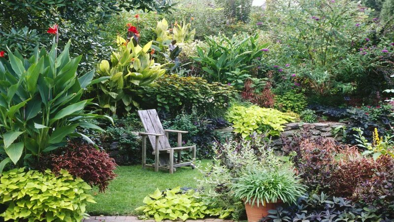 Garden with wooden chair