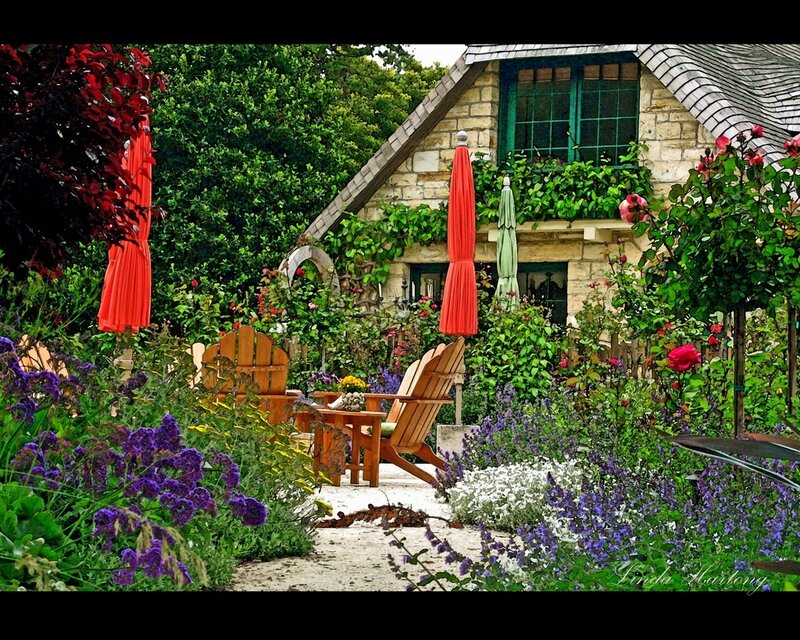 Garden with Wooden Chairs