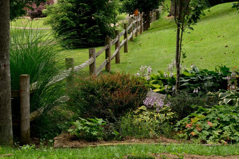 Garden with Wooden Fence
