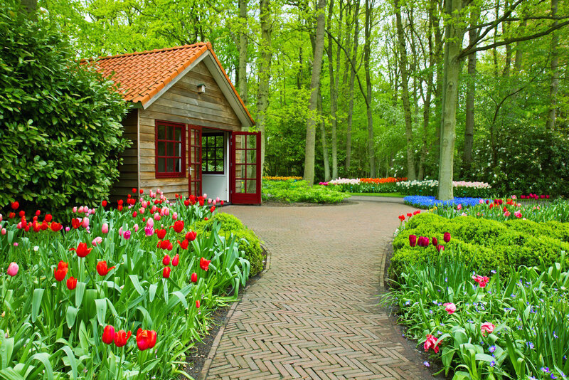 Garden with Wooden Shed — Green
