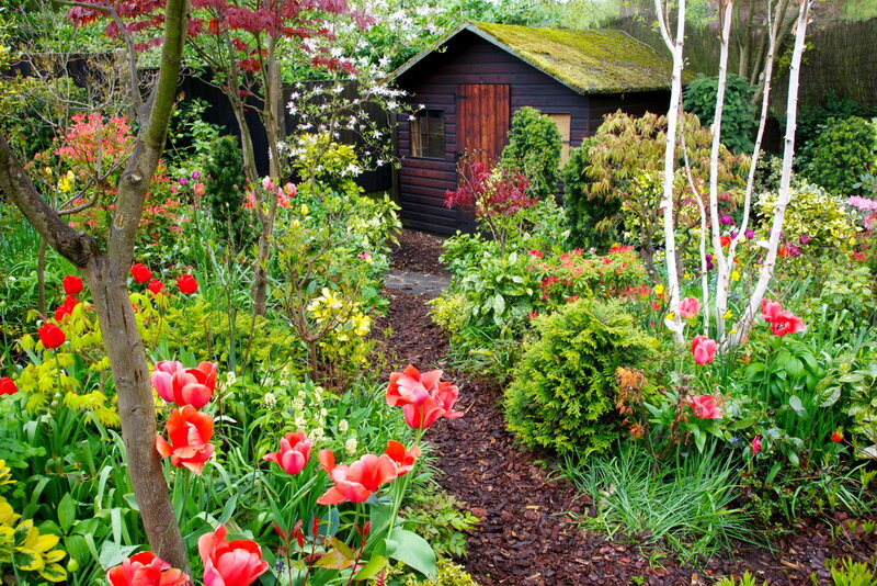 Garden with Wooden Shed