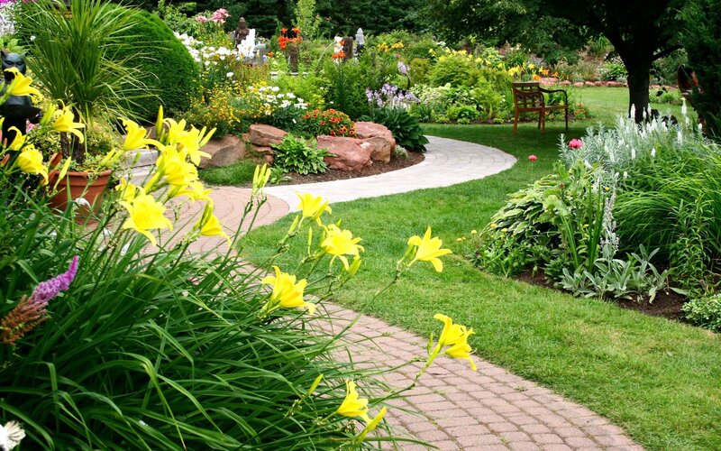 Garden with Yellow Flowers — Serene, Afternoon