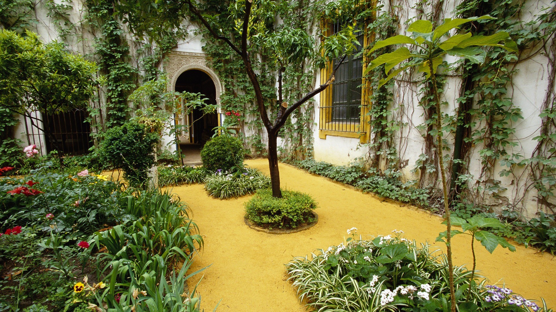garden with yellow path and ivy