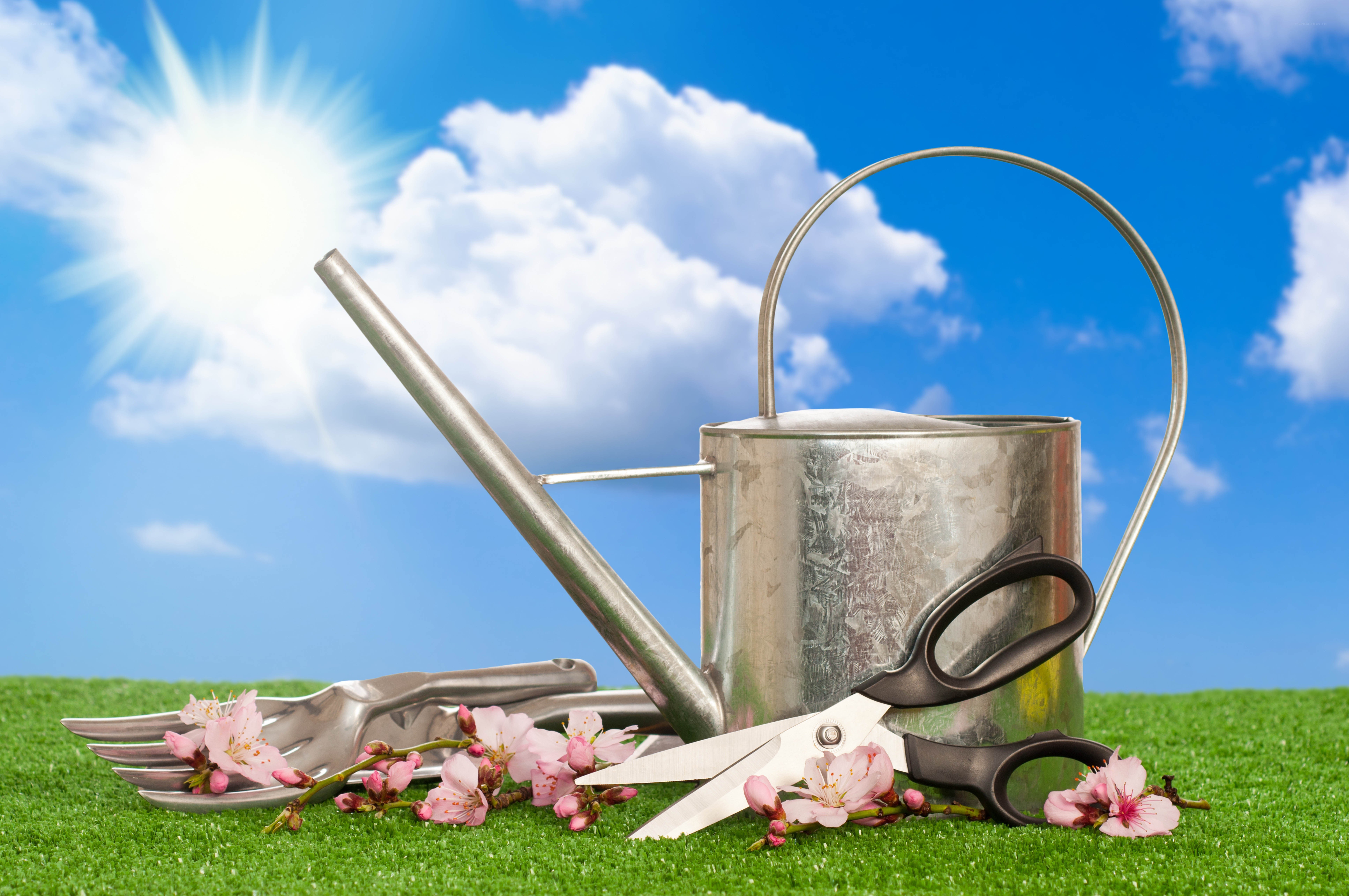 Gardening tools on grass