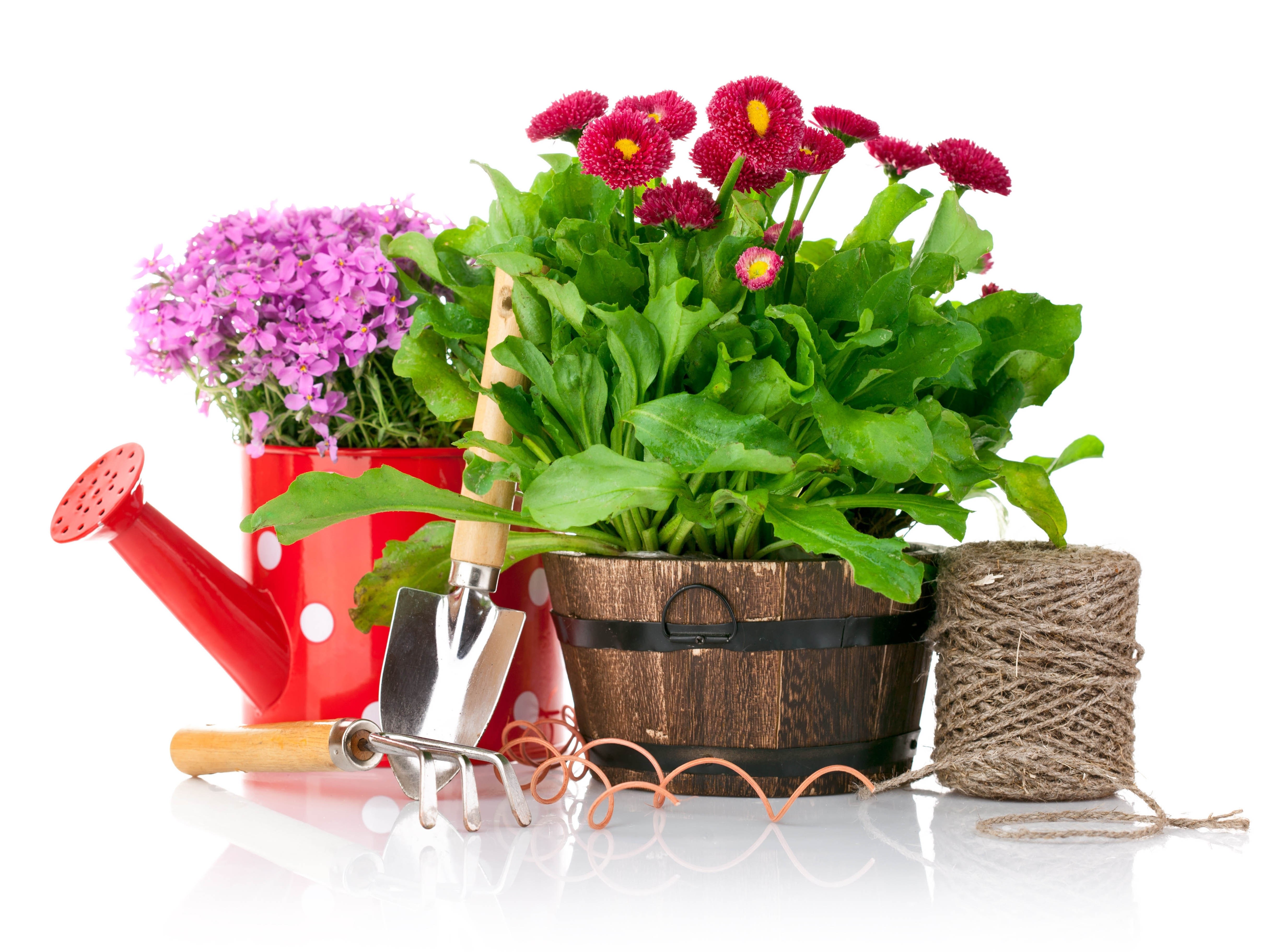 Gardening tools with flowers