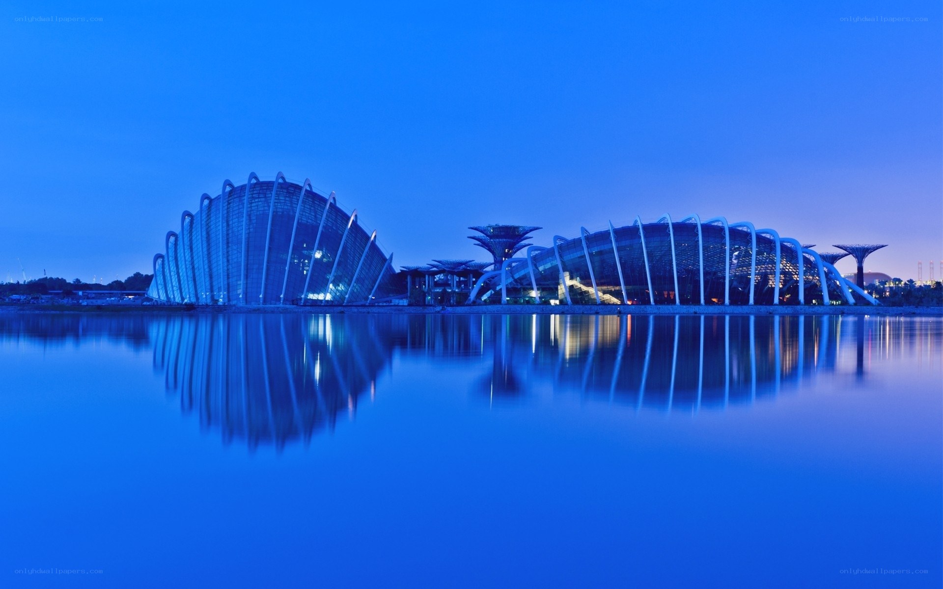 Gardens by the Bay at dusk