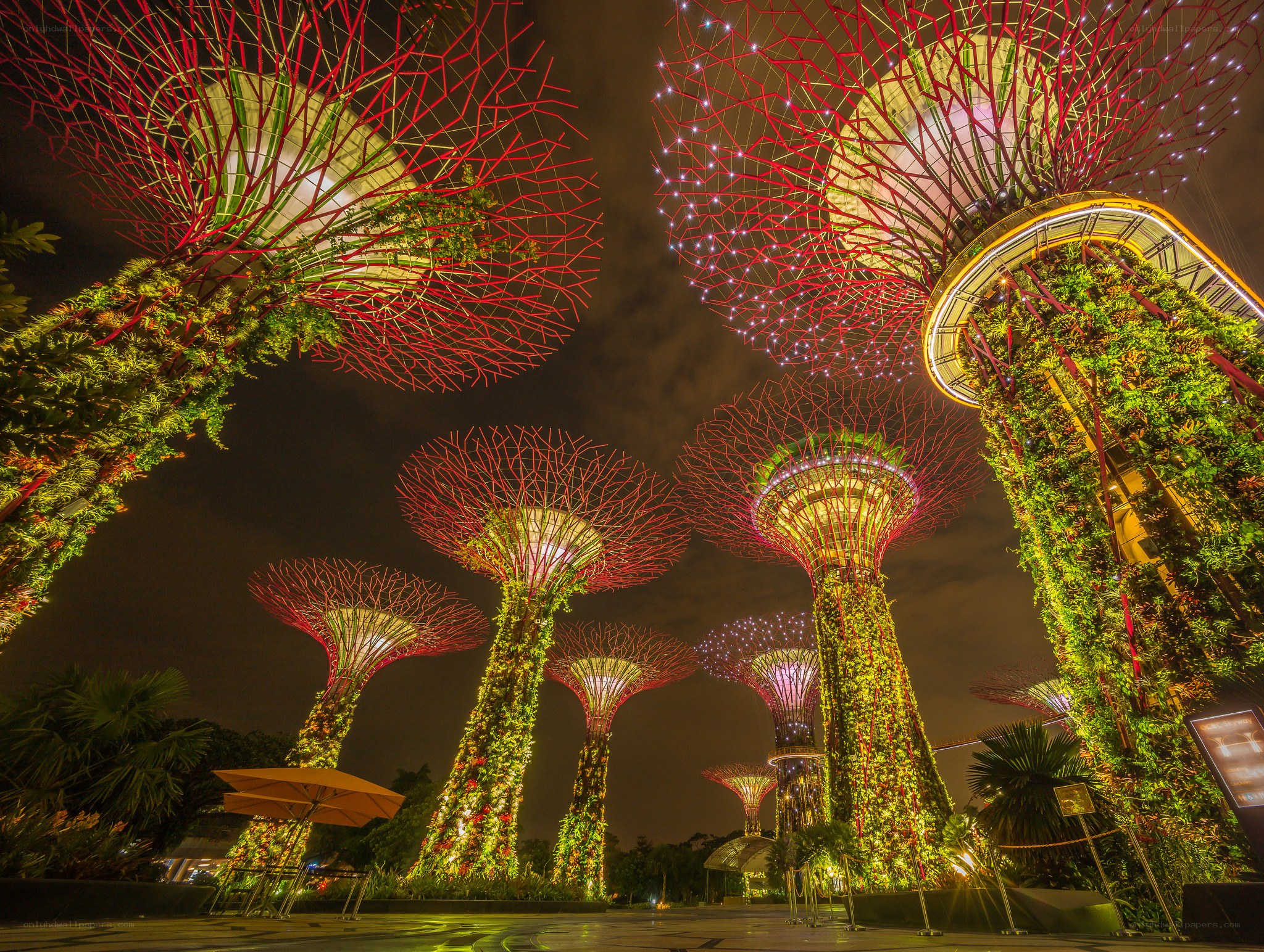 Gardens by the Bay at night