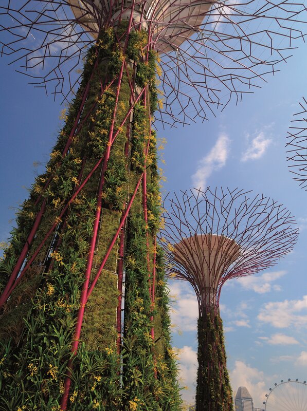 Gardens by the Bay Supertrees
