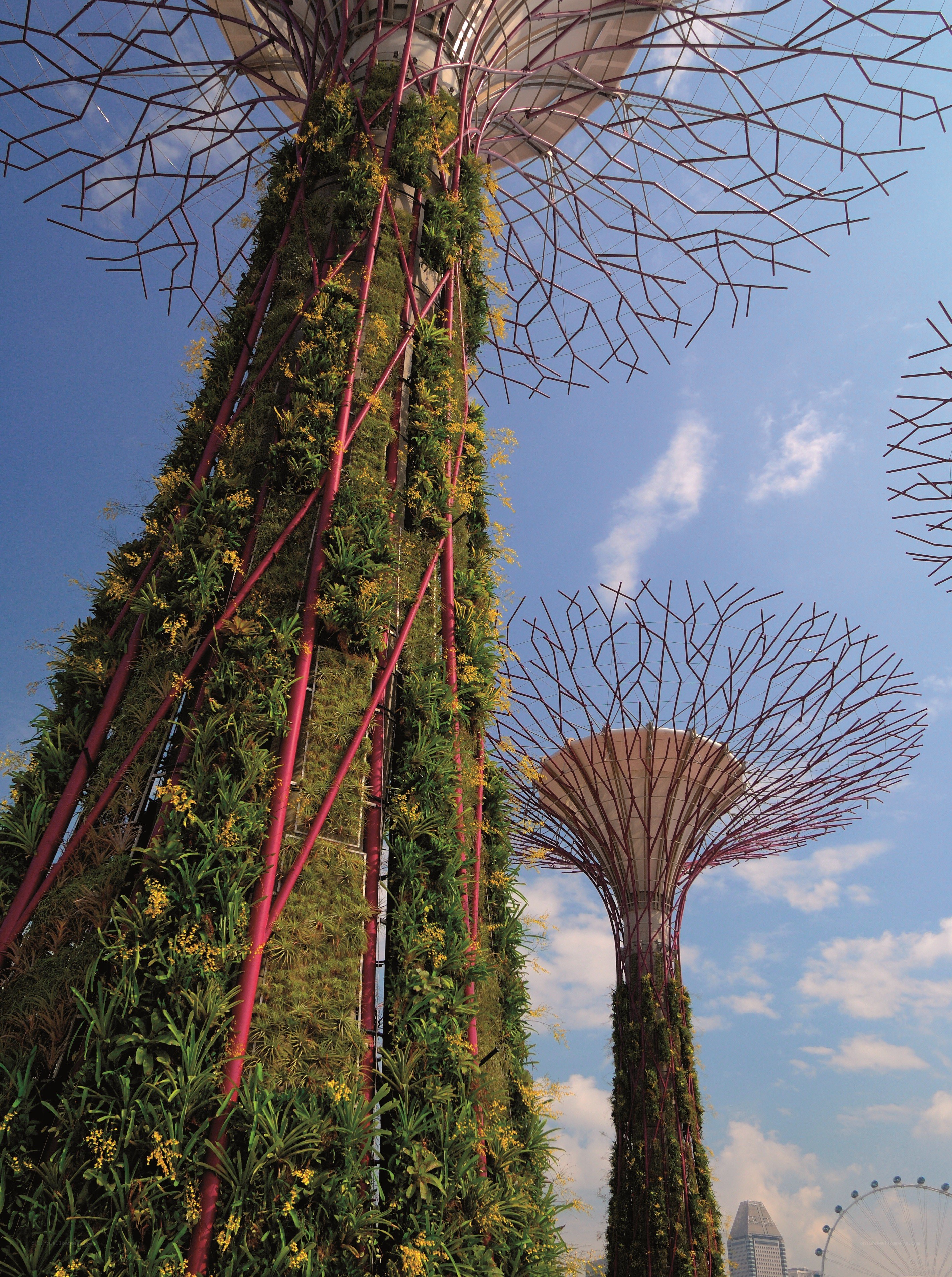 Gardens by the Bay Supertrees