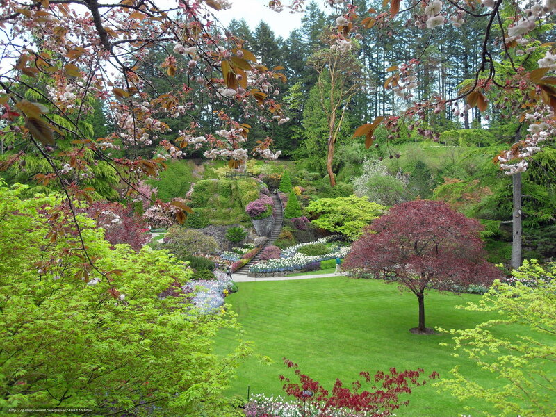 Gardens with Blooming Trees — Green