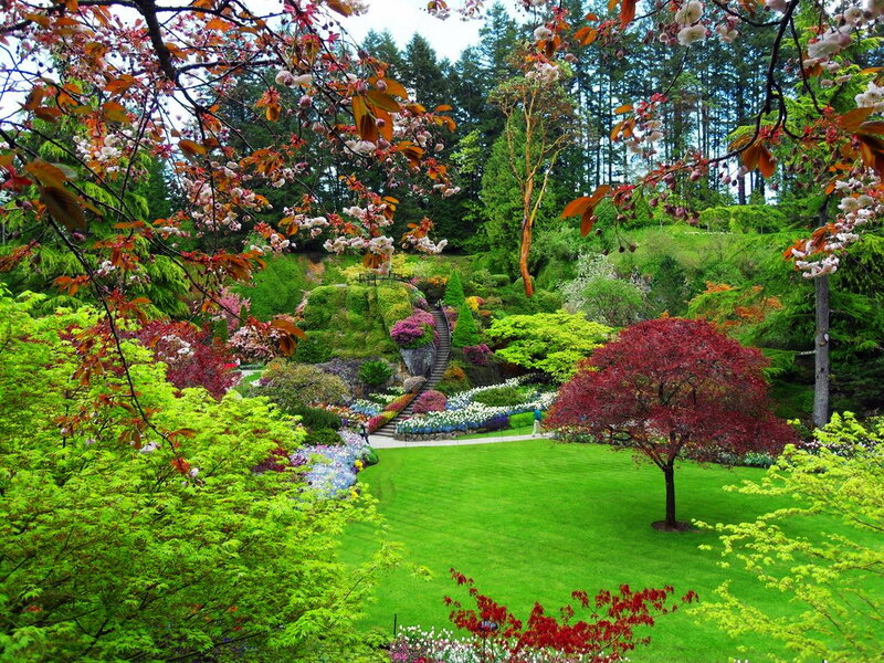 Gardens with Blooming Trees