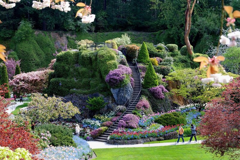 Gardens with Staircase