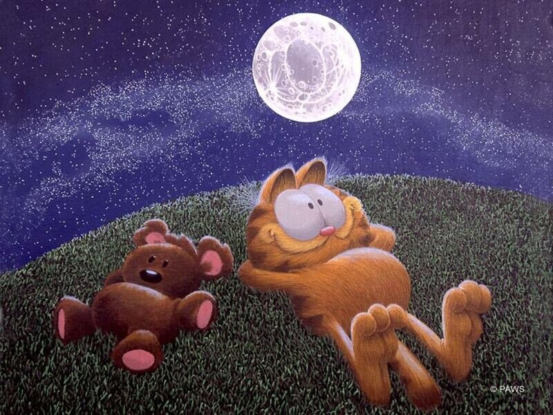 Garfield and Teddy Bear