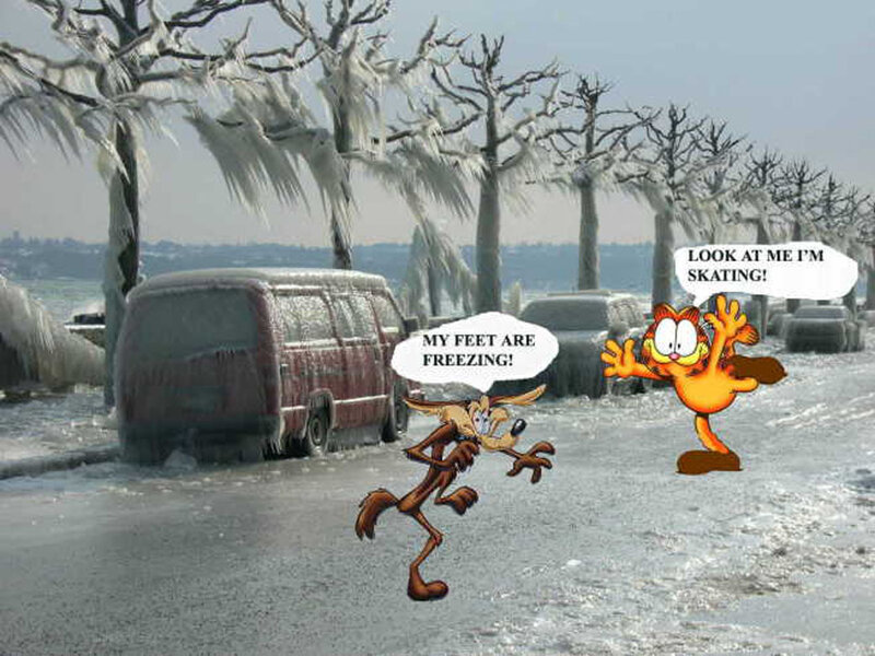 Garfield and Wile E. Coyote