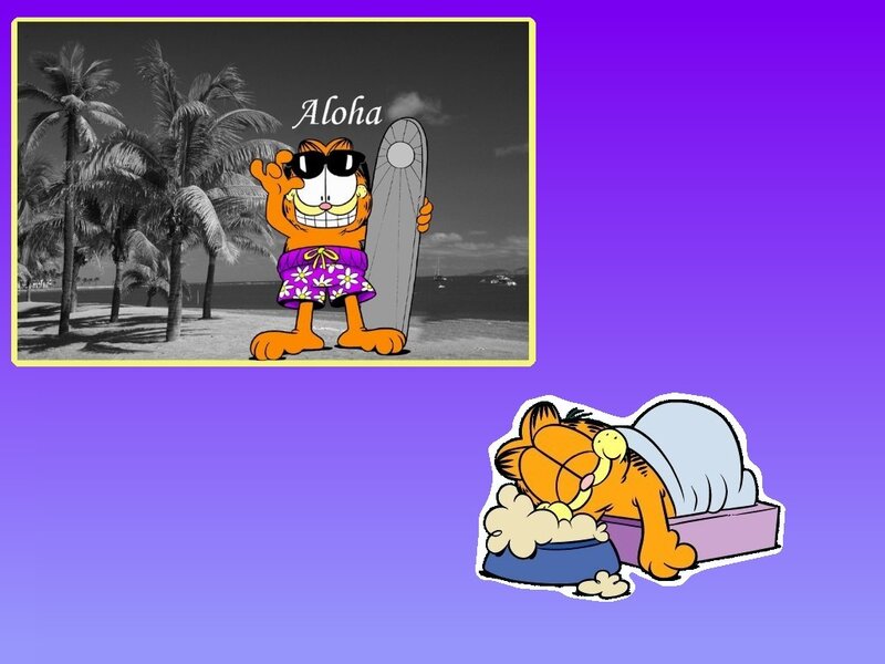 Garfield at the beach and sleeping