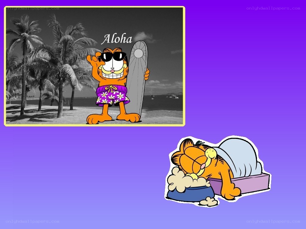 Garfield at the beach and sleeping
