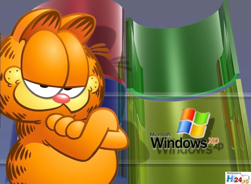 Garfield Cartoon Character — Orange