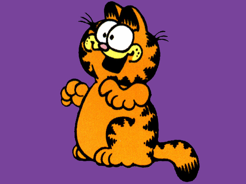 Garfield cartoon character