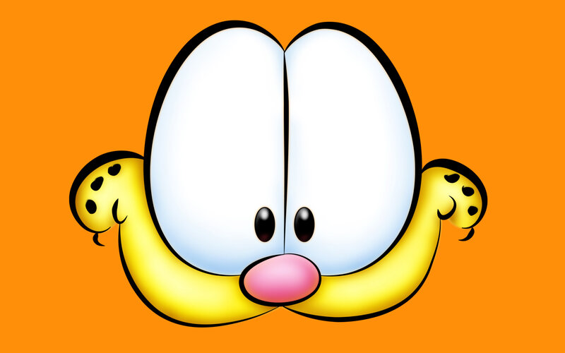 Garfield cartoon face