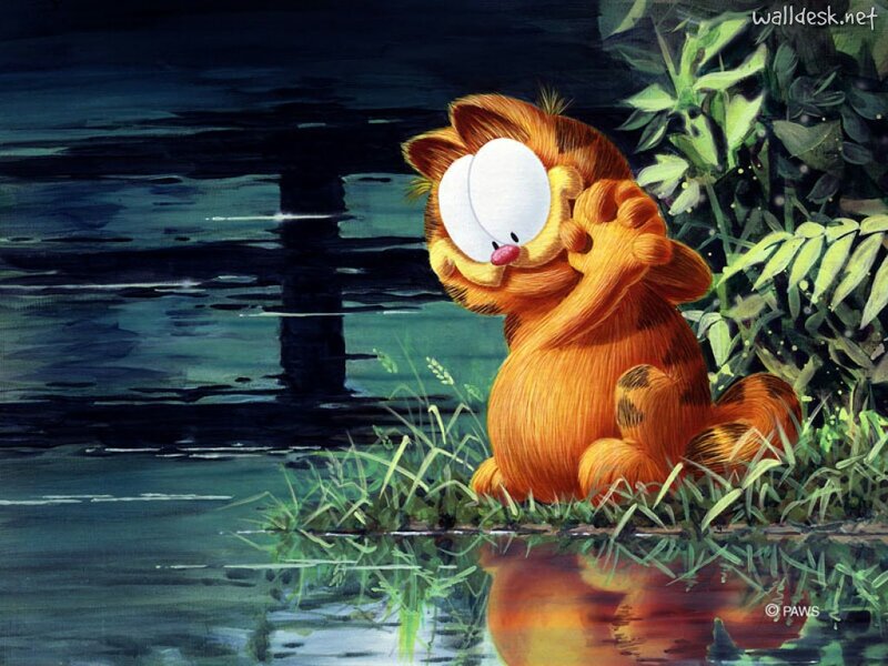 Garfield Cat by Water