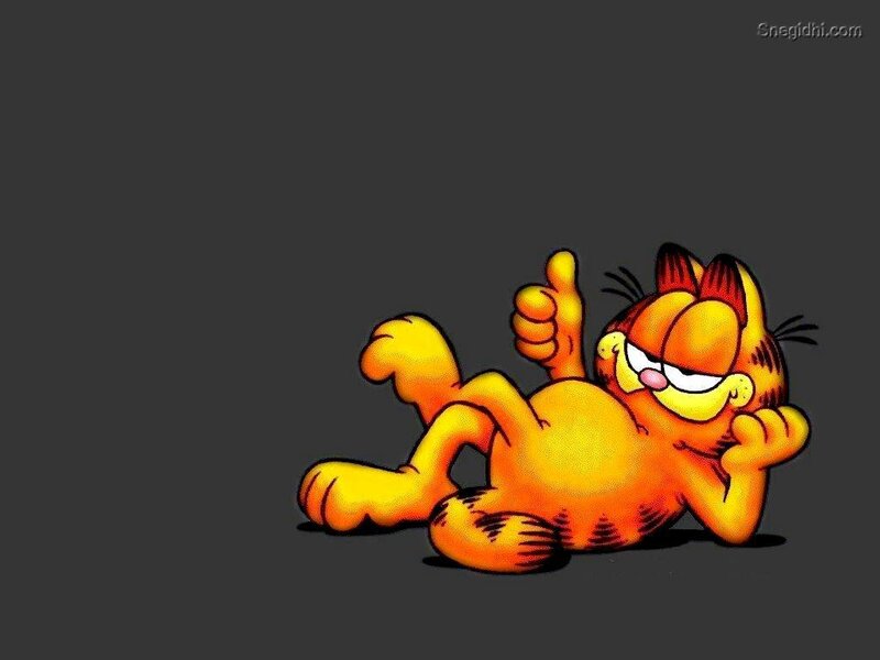 Garfield Cat Lying Down