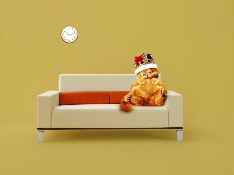 Garfield Cat on Couch