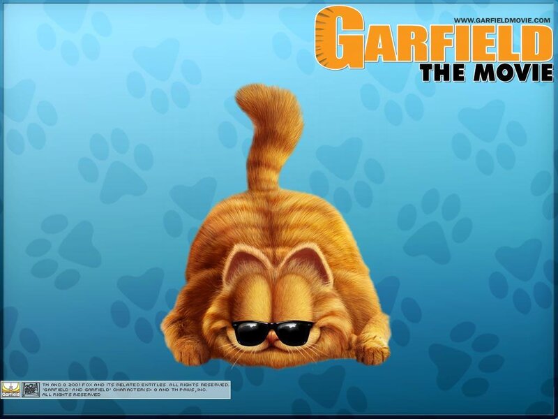 Garfield Cat Wearing Sunglasses