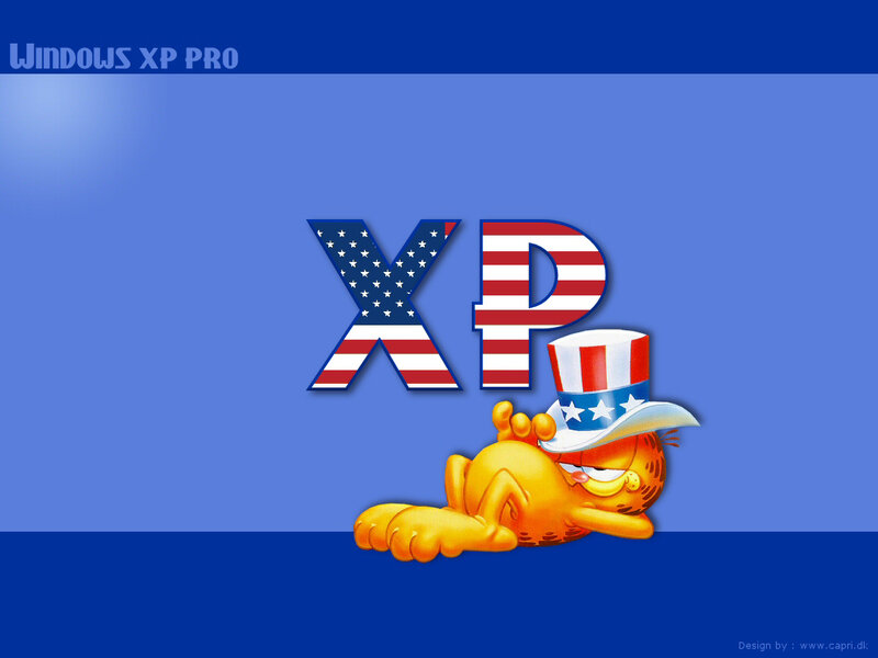 Garfield Cat with Hat