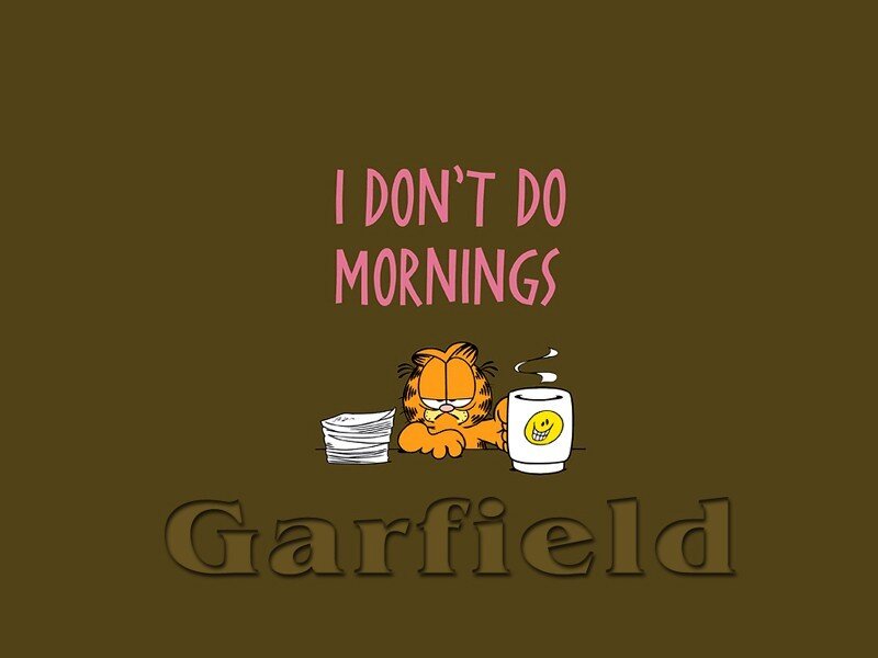 Garfield doesn't do mornings