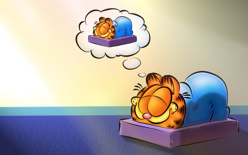 Garfield dreaming of sleeping