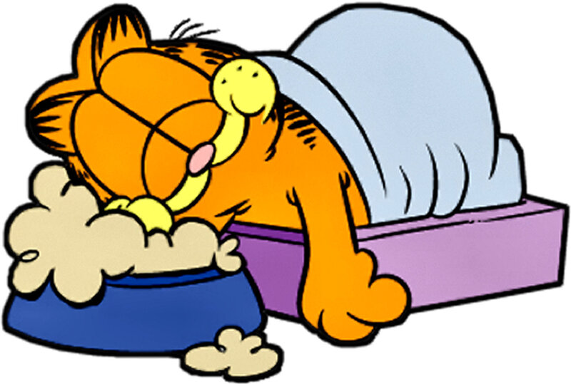 Garfield Eating Food