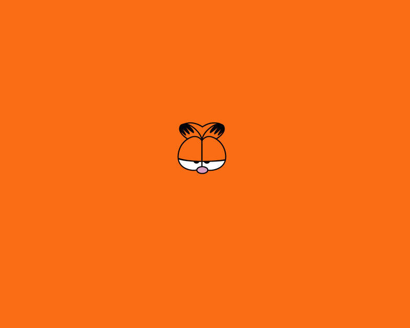 Garfield face on orange