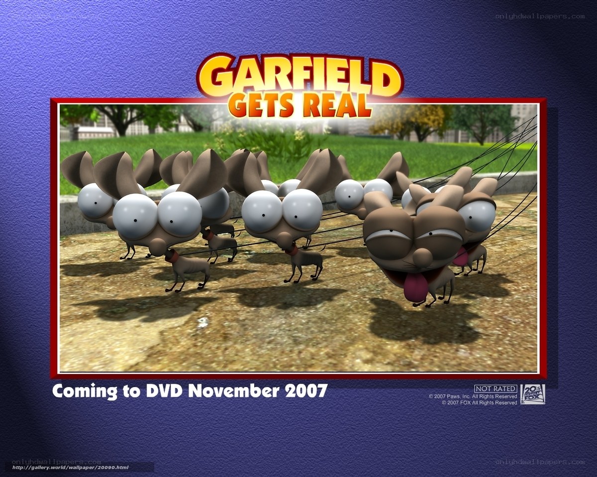 Garfield Gets Real DVD promo