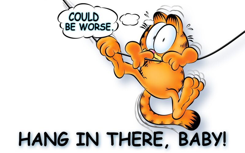 Garfield Hanging from Wire