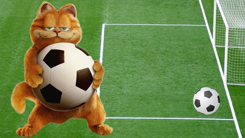 Garfield Holding Soccer Ball
