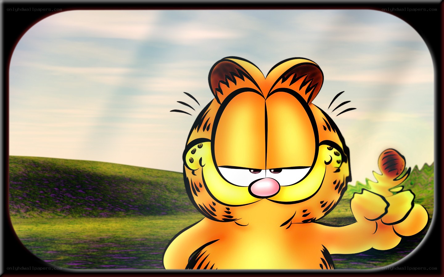 Garfield in a field