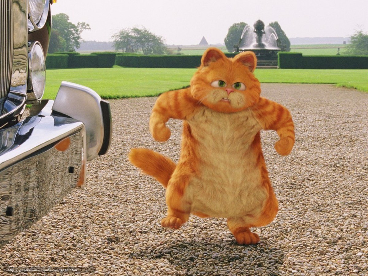Garfield in a garden