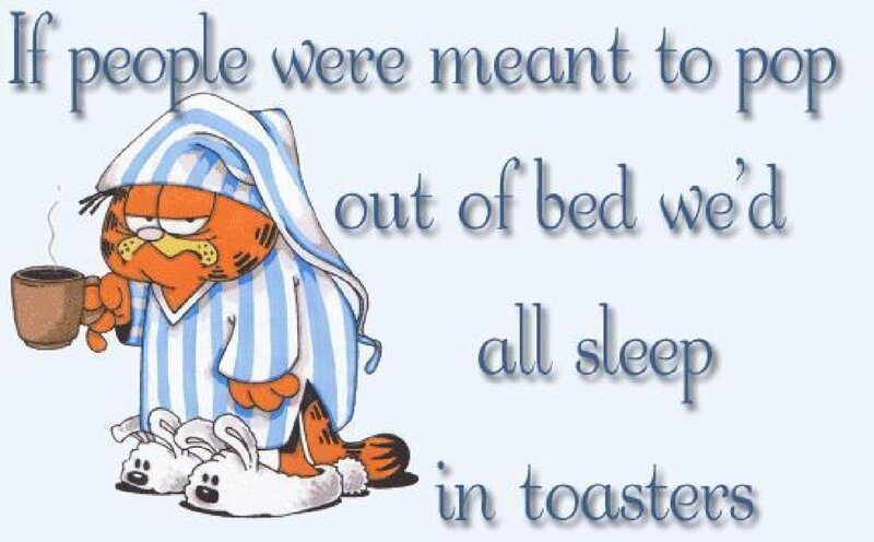 Garfield in Pajamas — Orange