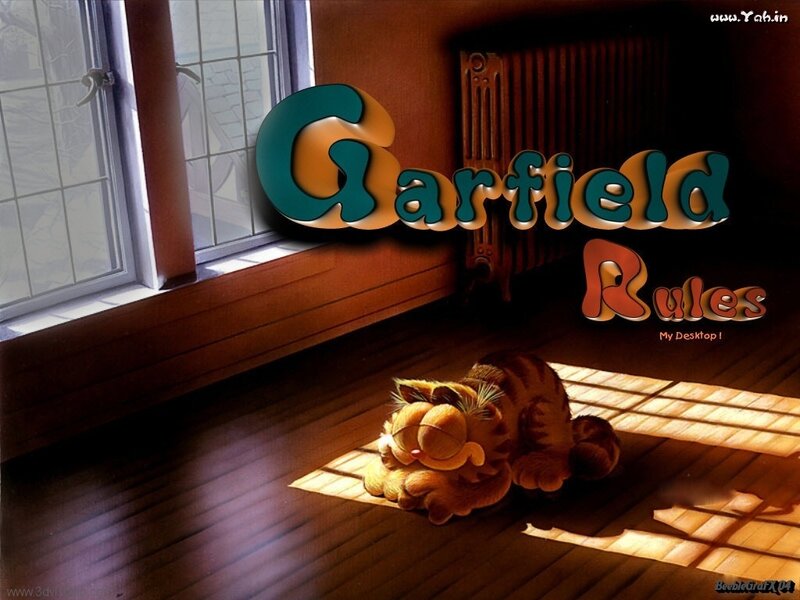 Garfield in Sunlight