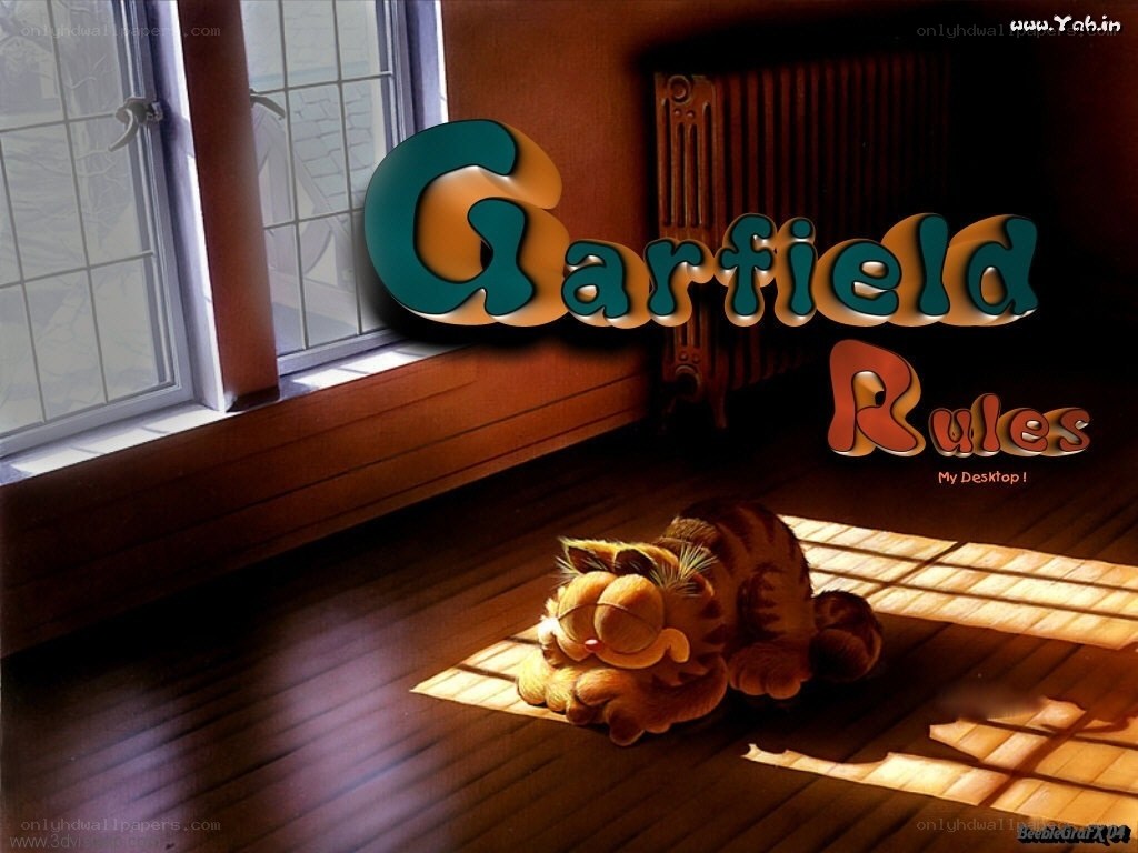 Garfield in Sunlight