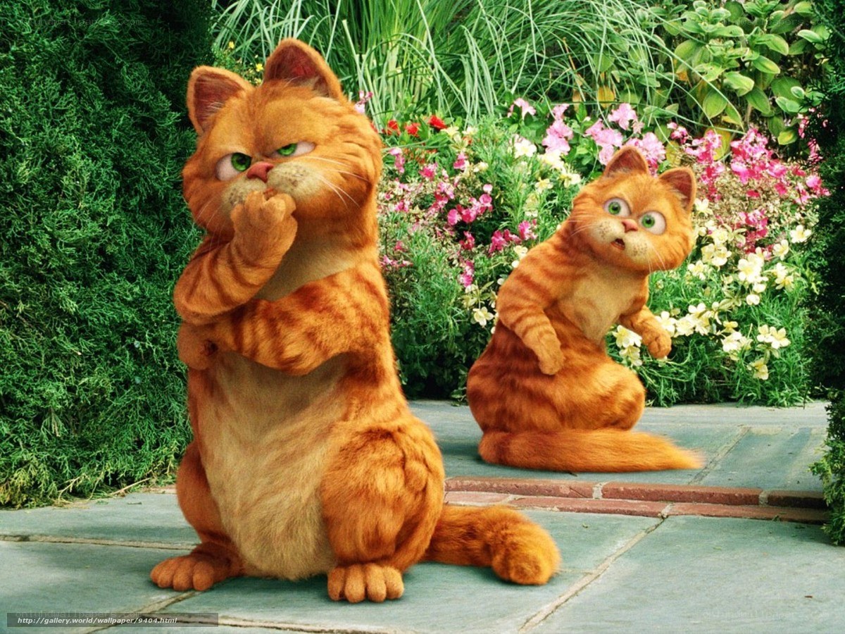 Garfield in the garden