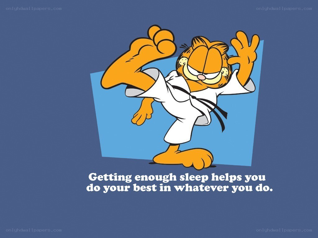 Garfield martial arts pose