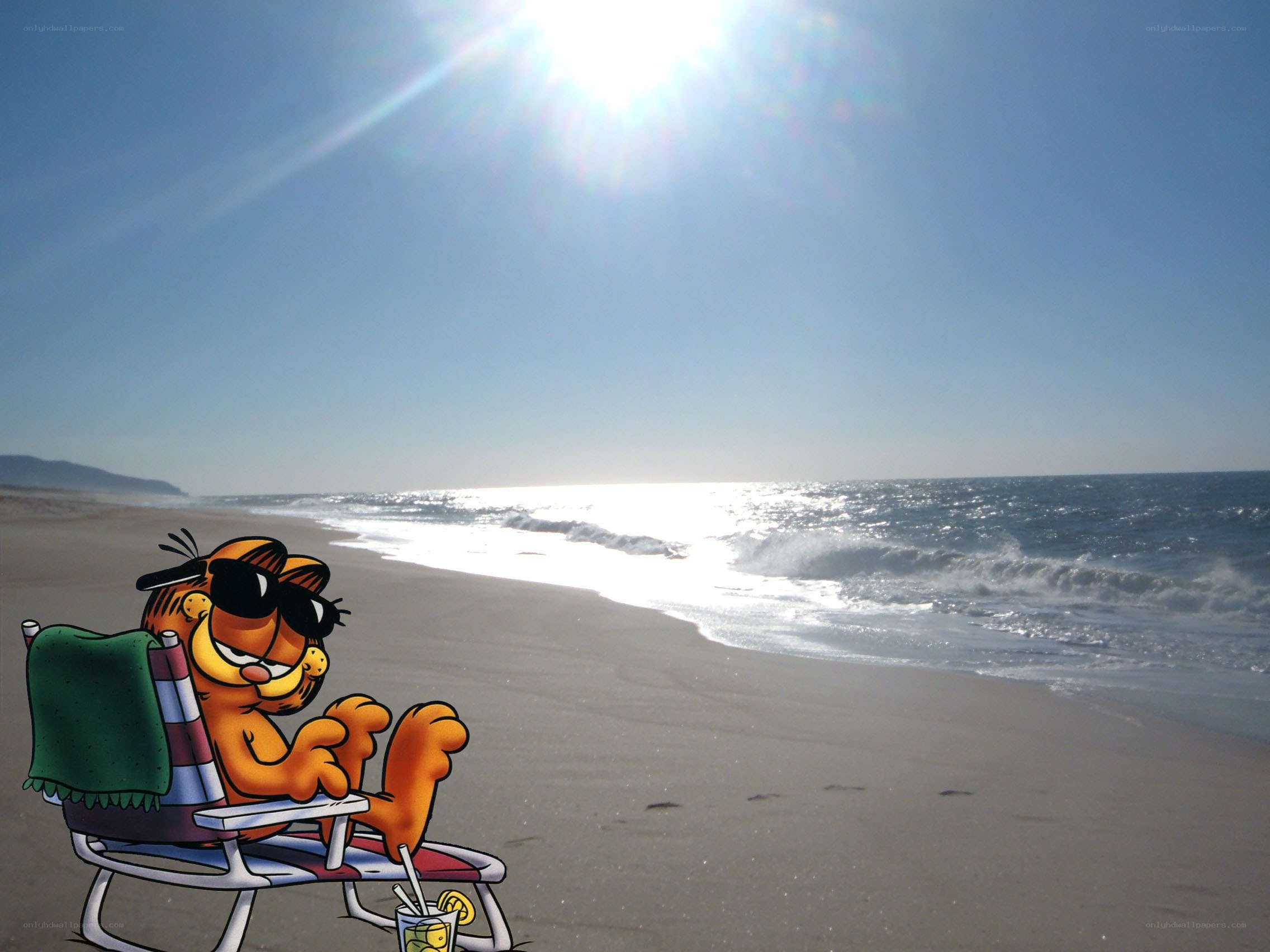Garfield on a beach vacation