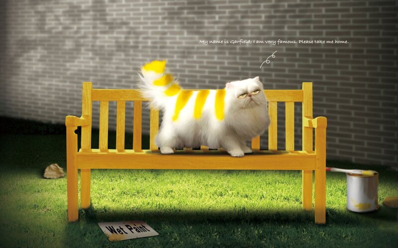 Garfield on a bench