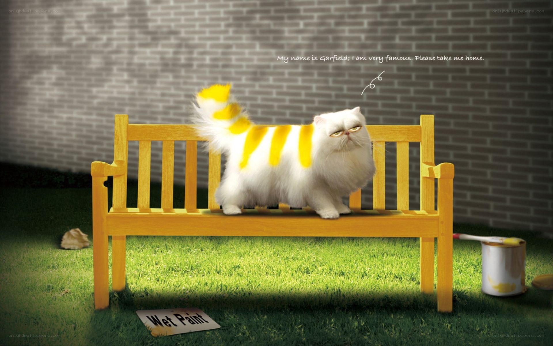 Garfield on a bench