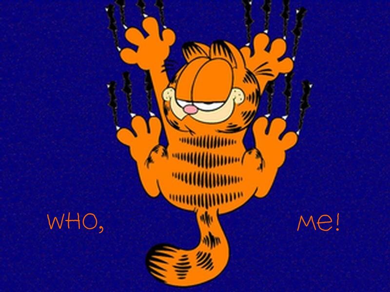 Garfield on a Blue Background