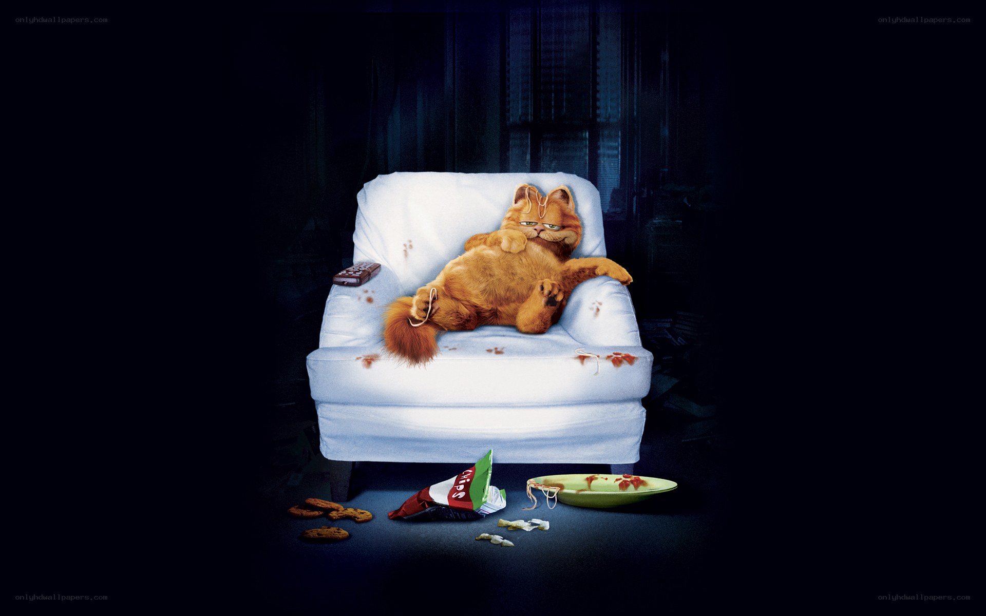 Garfield on a messy couch